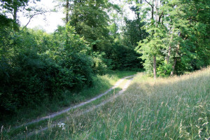 20070610-IMG2107