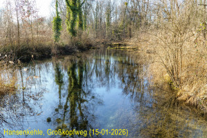 A6400370Hansenkehle