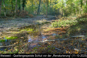 A6400147SchlutvorRenaturierung11-10-2025